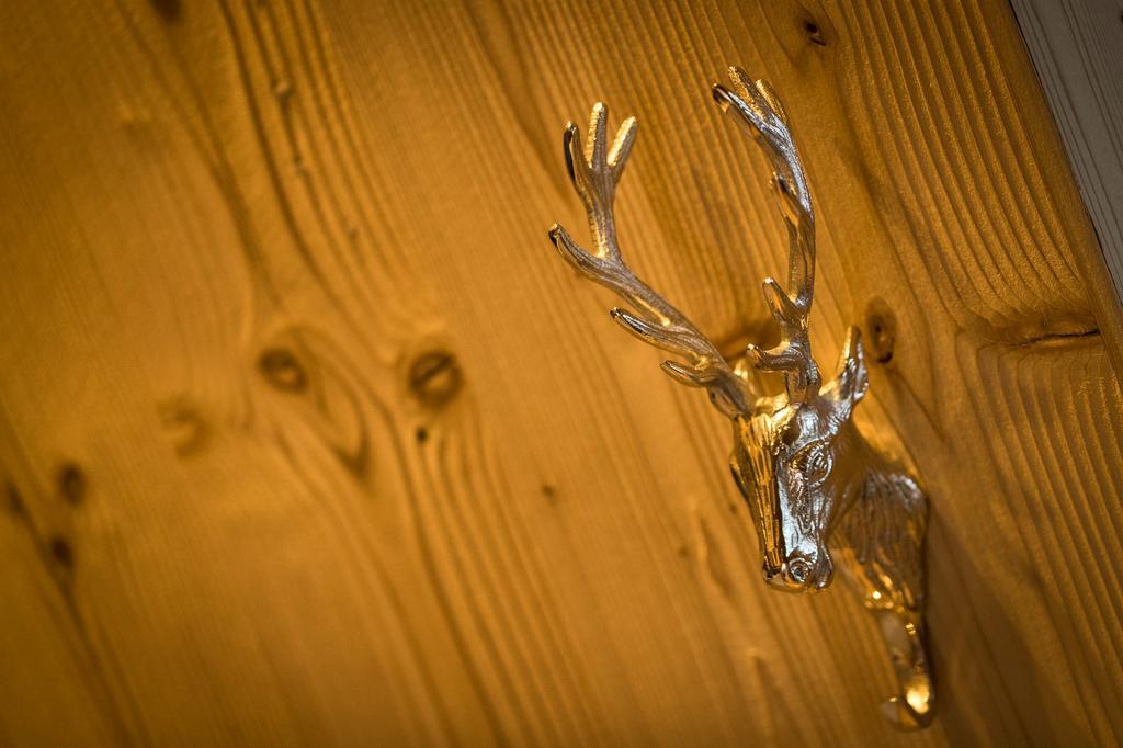 Hubertus Dolomites Aparthotel Fiè Kültér fotó